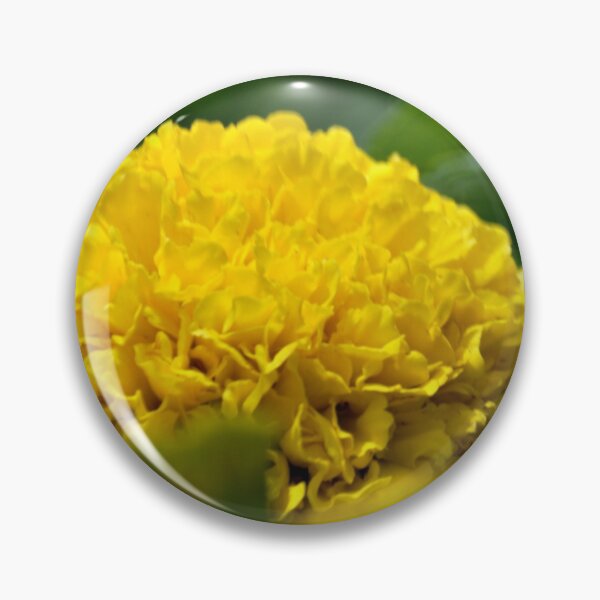 Artikelvorschau, Gelbe Ringelblumenblüte entworfen und verkauft von michaelasamples.