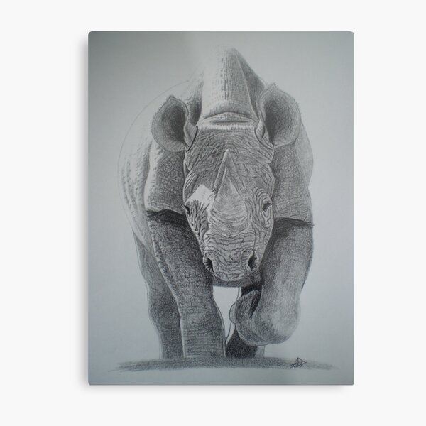 Cool,calm and in control. Metal Print