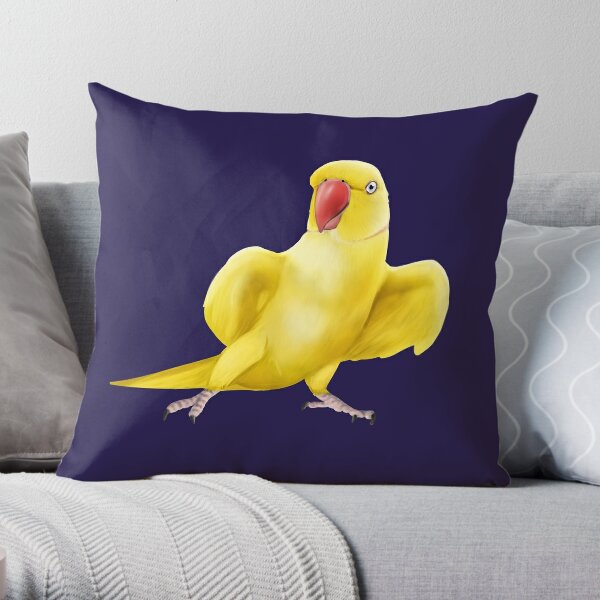 https://ih1.redbubble.net/image.2355049278.0367/throwpillow,large,600x-bg,f8f8f8-c,0,120,600,600.jpg