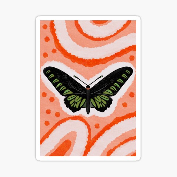 Rajah Brookes Birdwing Butterfly Modern Vintage Sticker