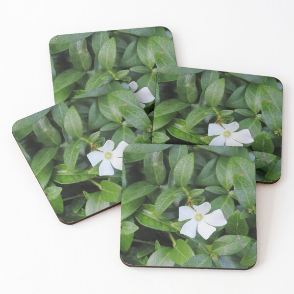 Item preview, Vinca minor flower designed and sold by greentiger1.