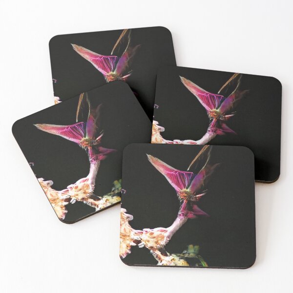Item preview, Biological Ikebana  designed and sold by BioDigital-Jazz.