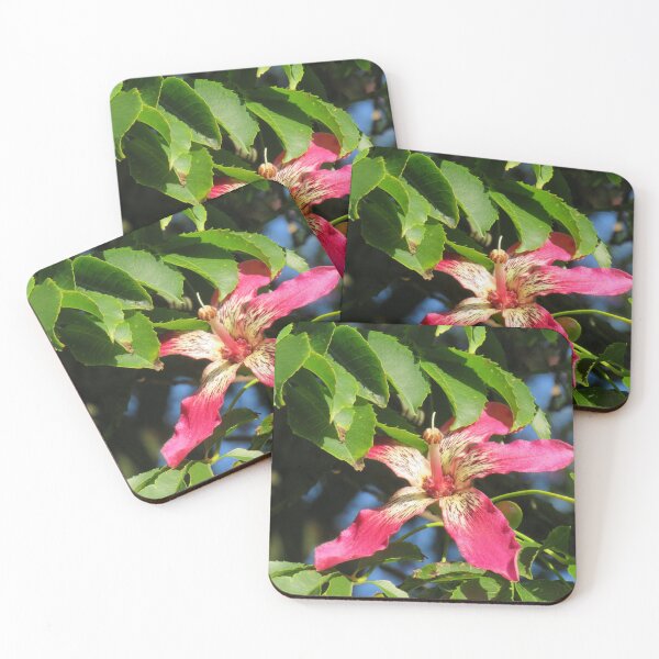 Item preview, Silk floss tree flower designed and sold by greentiger1.
