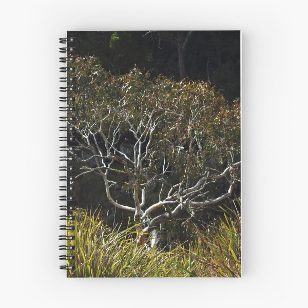 Item preview, Growing Horizontally at Ebor Falls designed and sold by myraj.
