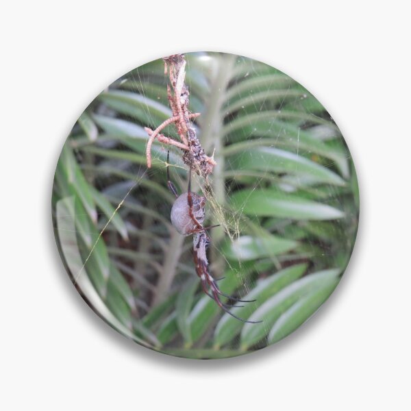 Artikelvorschau, Nephila Kugelweber entworfen und verkauft von greentiger1.