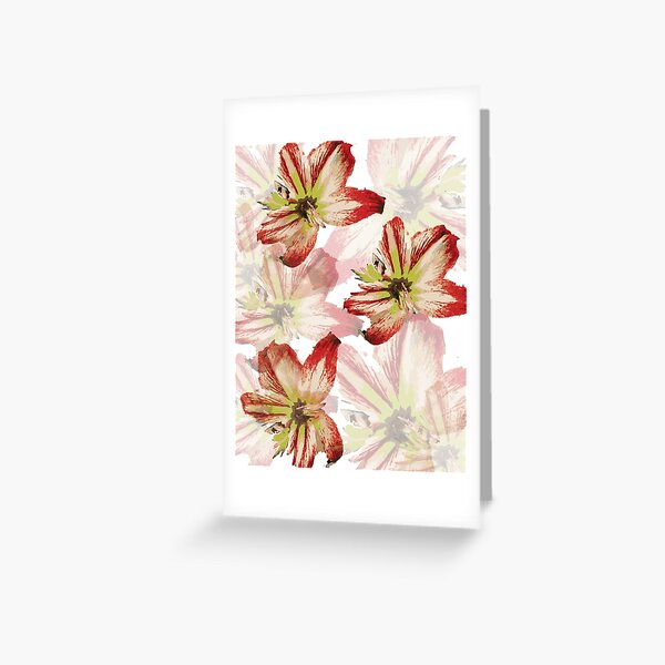Amaryllis Pattern Greeting Card