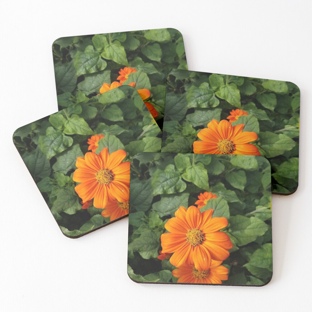Item preview, Coasters (Set of 4) designed and sold by FlyingFennec.