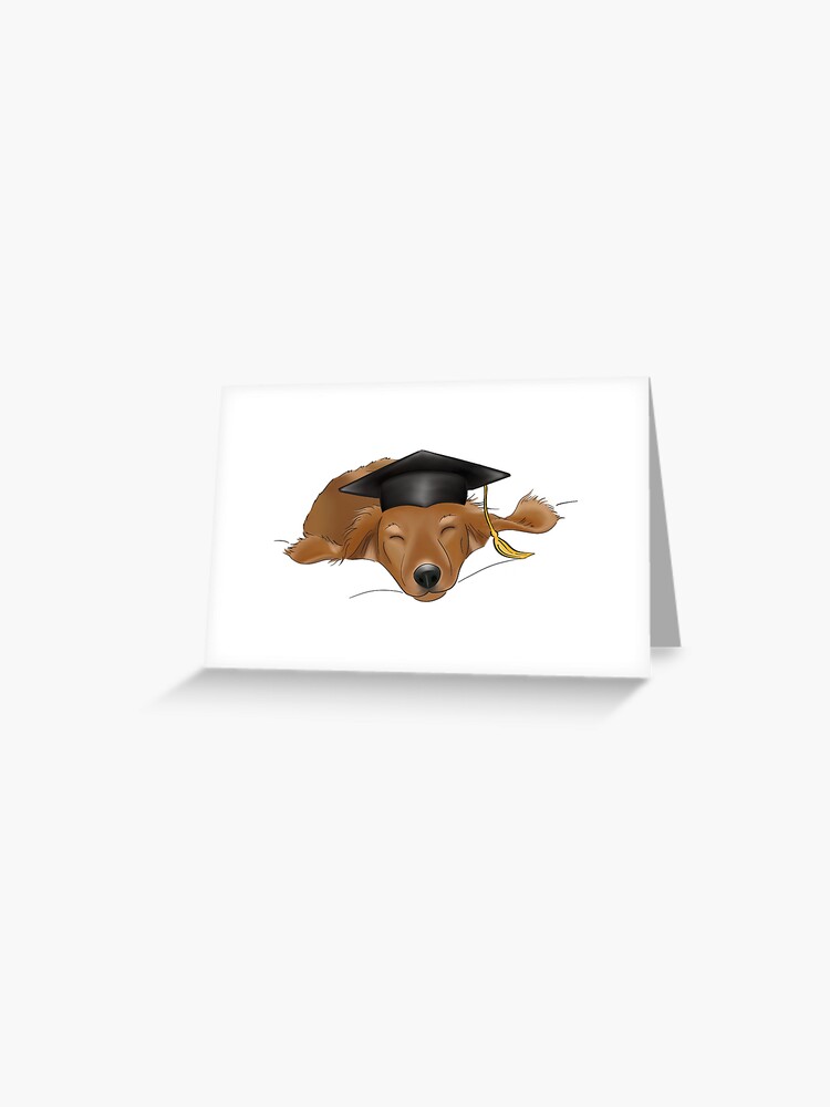 Dog hotsell graduation hat