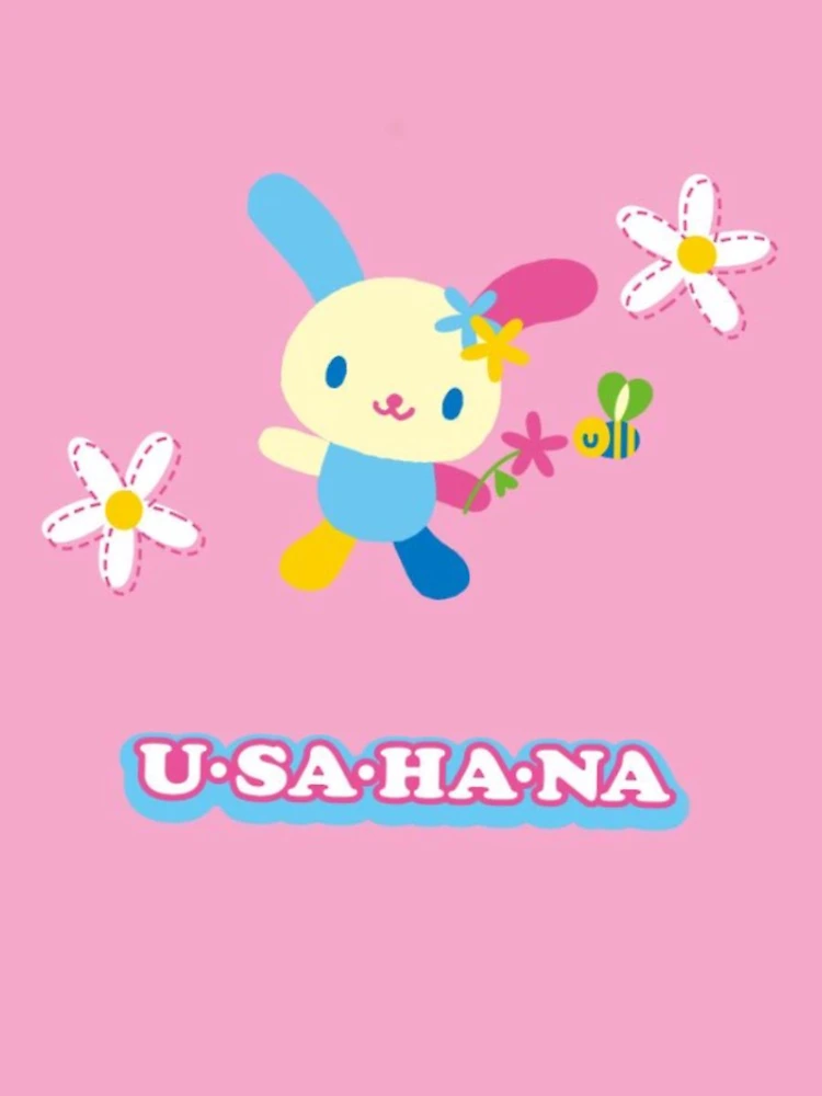 Kawaii Cute Usahana Lunch Box 3 Pieces Set Cartoon Anime Bunny