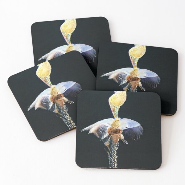 Item preview, AI Ethereal Flower designed and sold by BioDigital-Jazz.