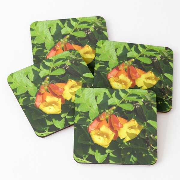 Item preview, Tecoma stans flowers designed and sold by greentiger1.
