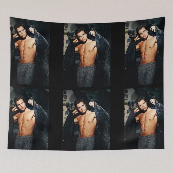 Item preview, Sebastian Stan Blankets | Sebastian Stan Stickers | Sebastian Stan iphone Cases designed and sold by momenus.