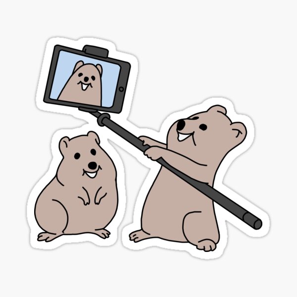 Cartoon Quokka taking a selfie Cartoon Quokka taking a selfie