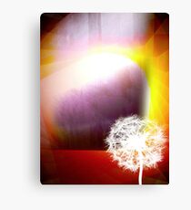 Phenomena Canvas Print