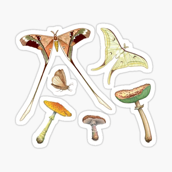 Item preview, MOTH MUSHROOM MEDLEY Mini Sticker Pack designed and sold by elevens.