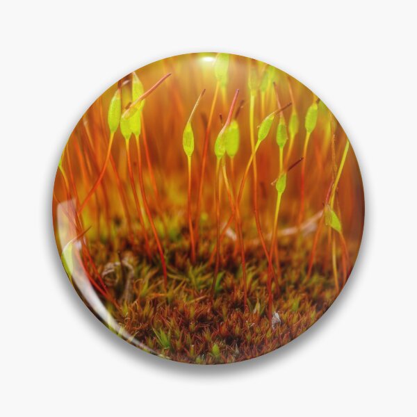 Item preview, Moss life 5 designed and sold by Veikko  Suikkanen.