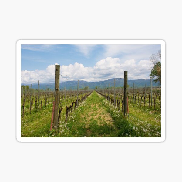 Item preview, Spring Vineyard Near Orzano in Italy designed and sold by jojobob.