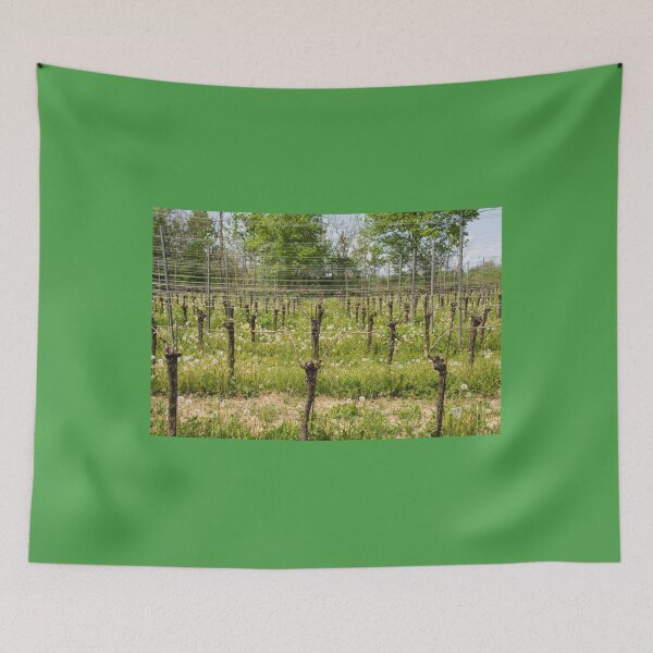 Item preview, Spring Vineyard Near Orzano in Italy designed and sold by jojobob.