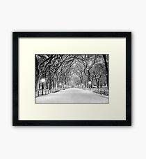 Cental Park New York, NY winter scene Framed Print