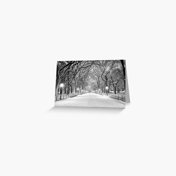 Cental Park New York, NY winter scene Greeting Card
