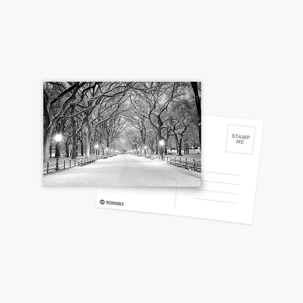 Cental Park New York, NY winter scene Postcard