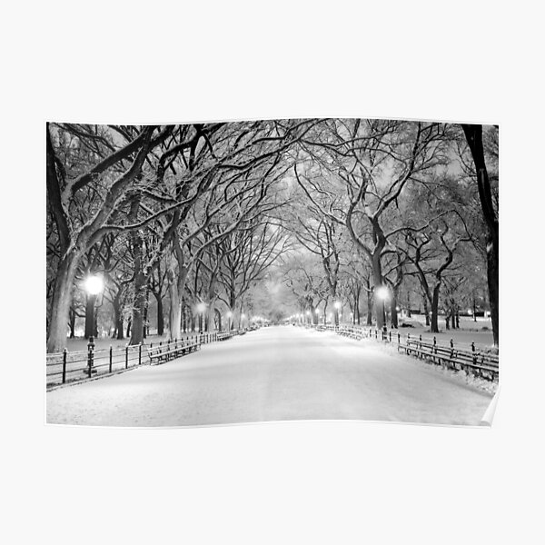 Cental Park New York, NY winter scene Poster