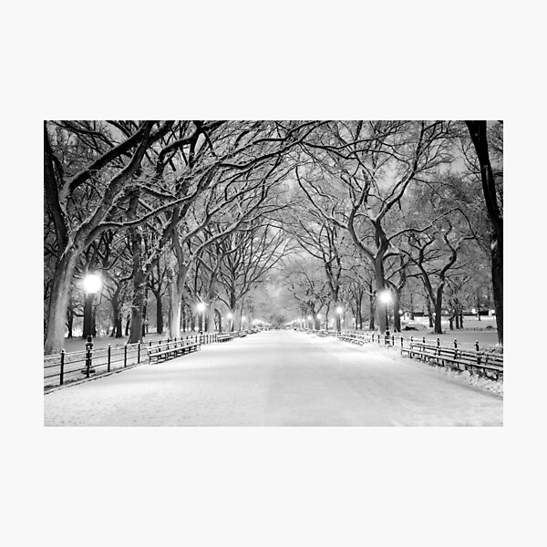 Cental Park New York, NY  winter scene Photographic Print
