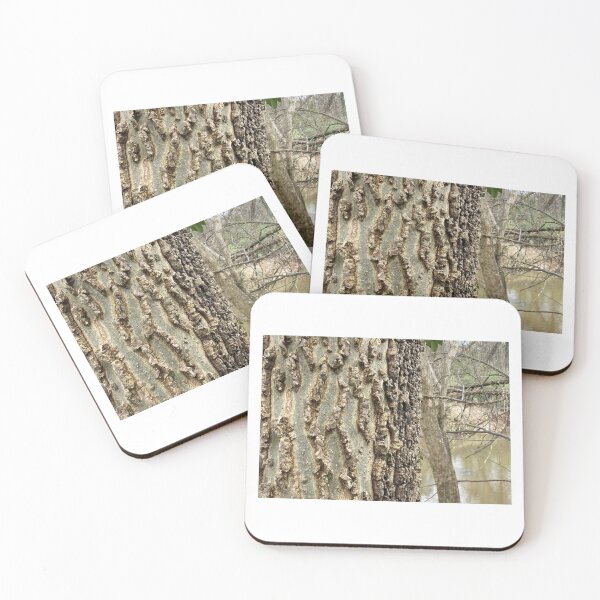 Item preview, Hackberry by The River designed and sold by Max Kindly.