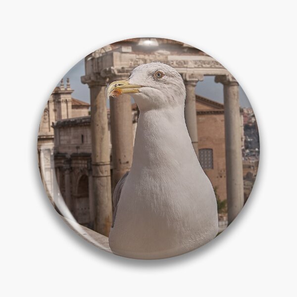 Artikelvorschau, Gull entworfen und verkauft von Babbler01.