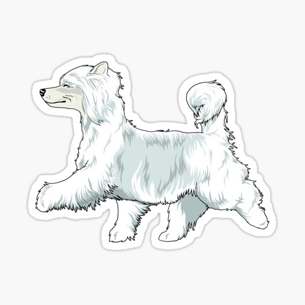 Chinese Crested PP Sticker