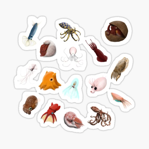 Item preview, Cephalopod Collection designed and sold by Birds-And-More.