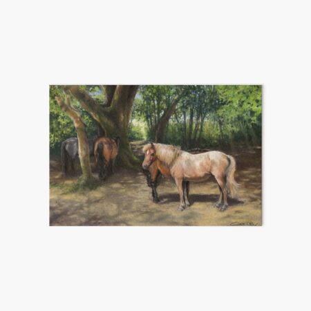 Ponies Shading in a New Forest Copse Art Board Print