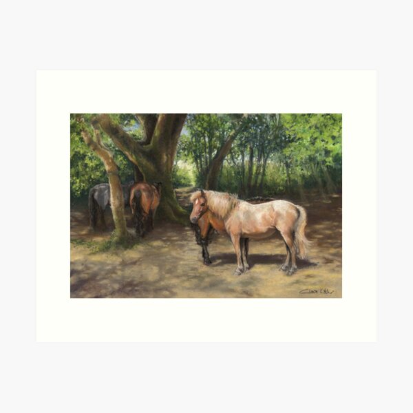 Ponies Shading in a New Forest Copse Art Print