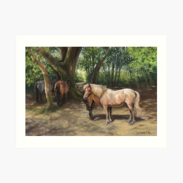 Shading in a New Forest Copse Art Print