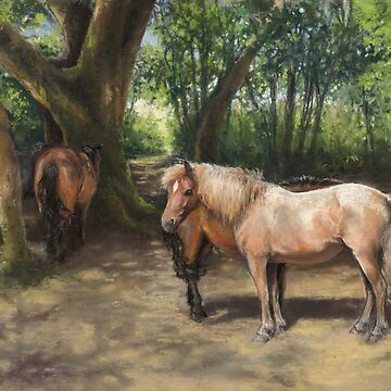 Artwork thumbnail, Ponies Shading in a New Forest Copse by Claire Kitcher