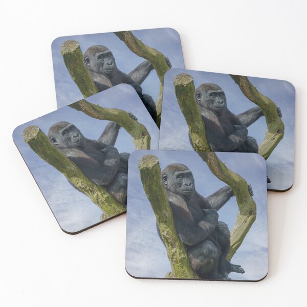 Item preview, Gorilla Resting On A Tree designed and sold by rawshutterbug.