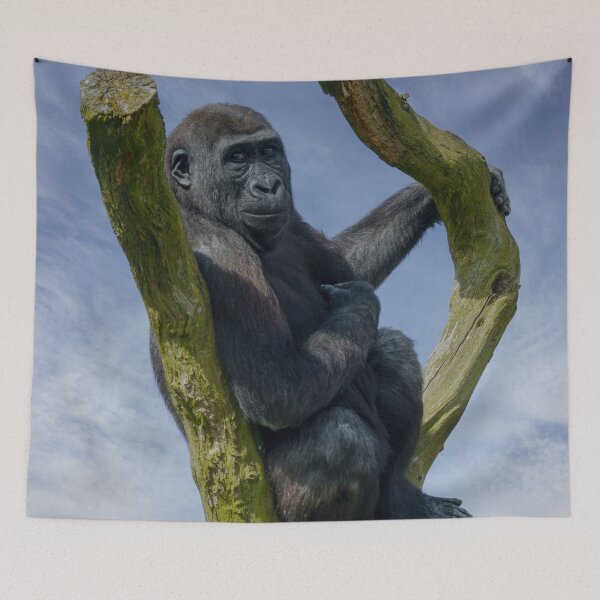 Item preview, Gorilla Resting On A Tree designed and sold by rawshutterbug.
