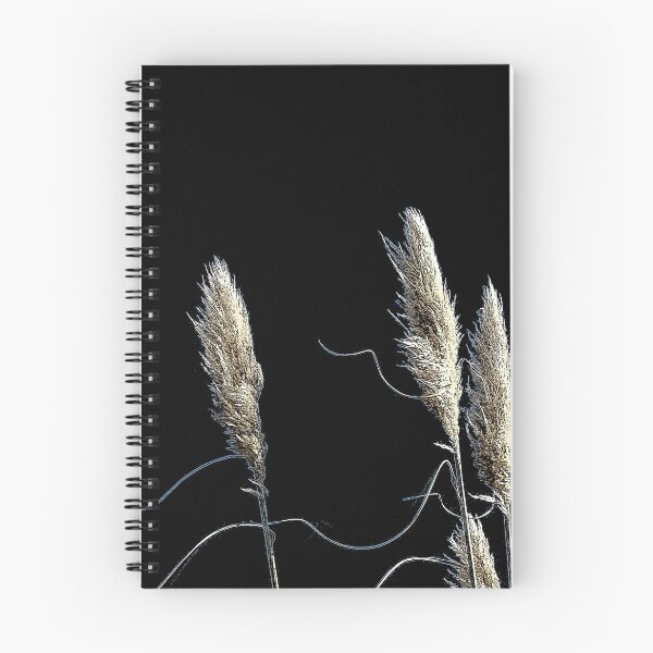 Artikelvorschau, New Zealand Elegant Toetoe Grass Feather Plumes entworfen und verkauft von CreateShape.