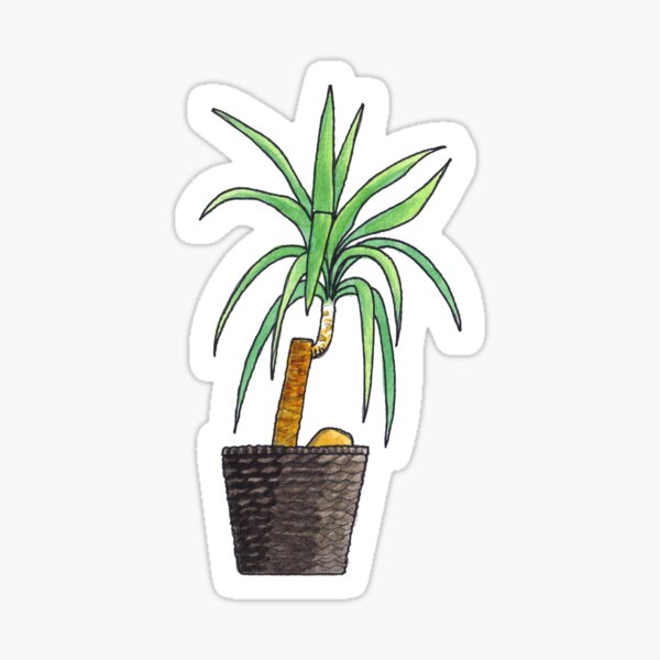Yucca - House Plant Watercolour Sticker
