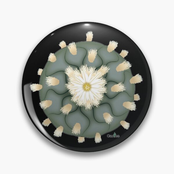 Item preview, Lophophora Diffusa False Peyote designed and sold by Cactee.