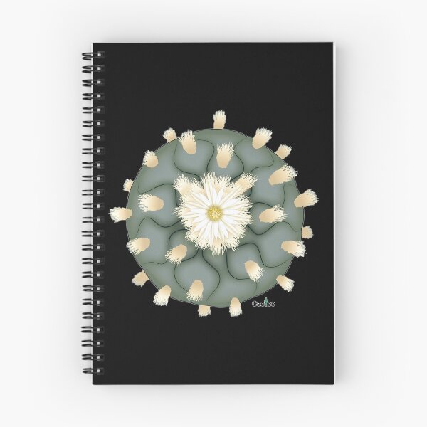 Item preview, Lophophora Diffusa False Peyote designed and sold by Cactee.