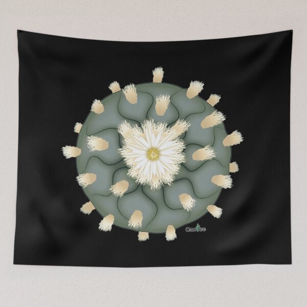 Item preview, Lophophora Diffusa False Peyote designed and sold by Cactee.