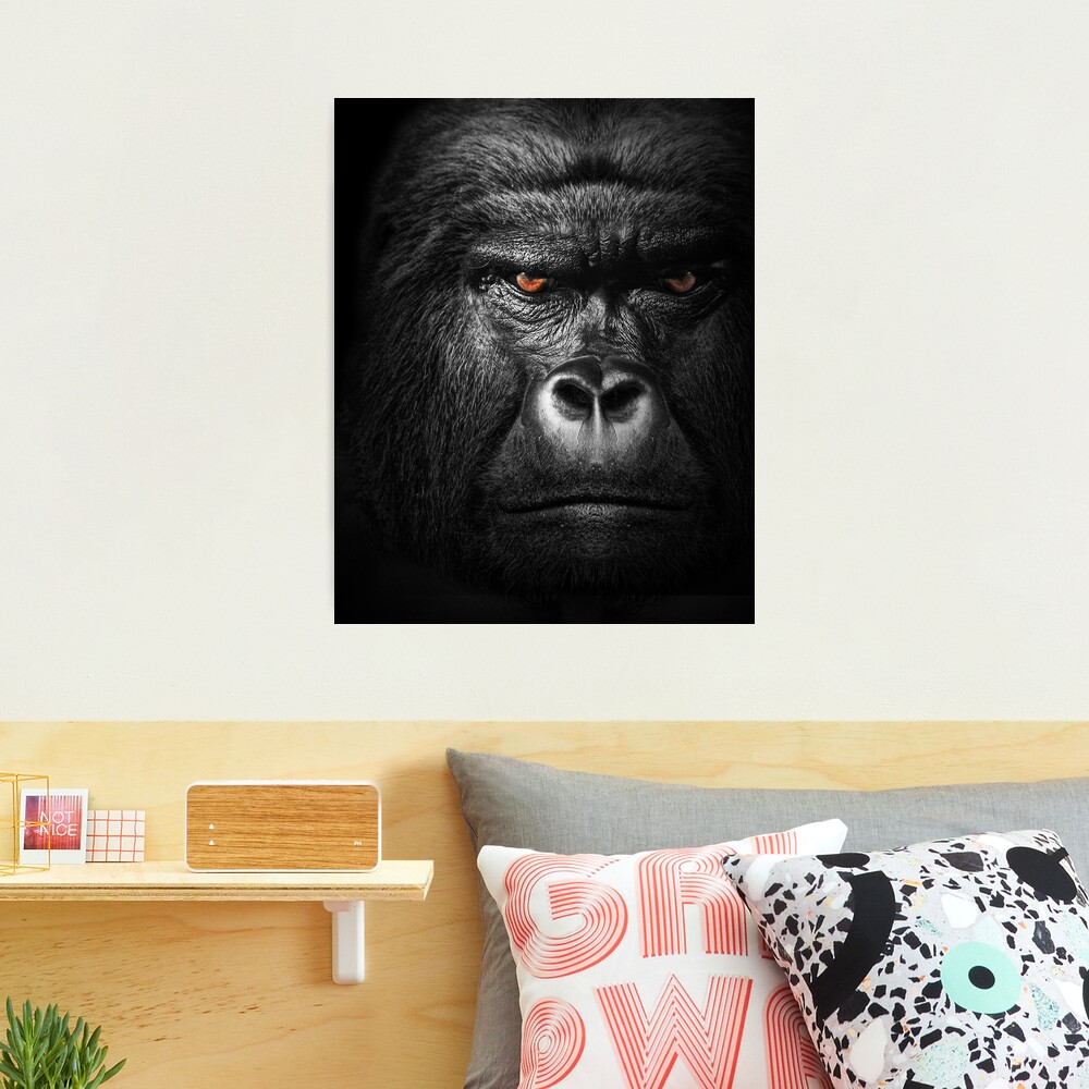 Lowland Gorilla Monkey Wild Animal Wall Decor Espresso Framed Picture Art  Print (20x24) - Impact Posters Gallery