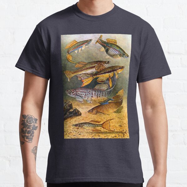 Bade 1915 Killifish Drawing Classic T-Shirt