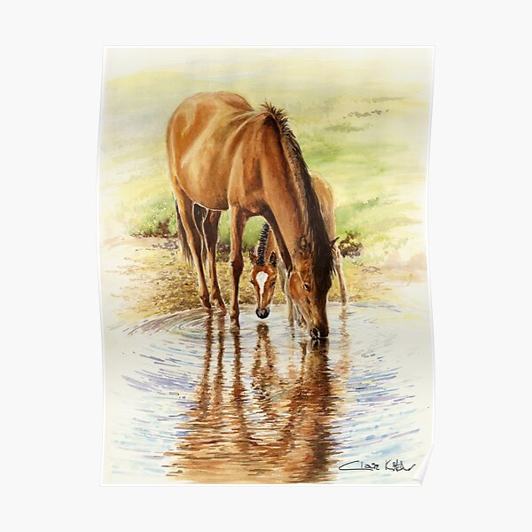 New Forest Reflections Poster
