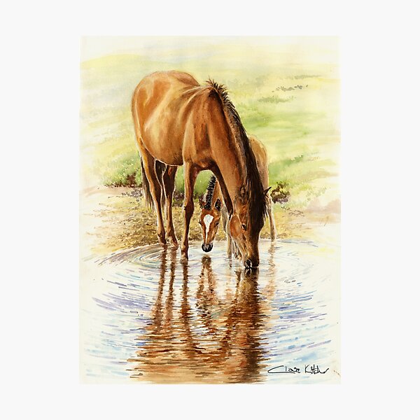 New Forest Reflections Photographic Print