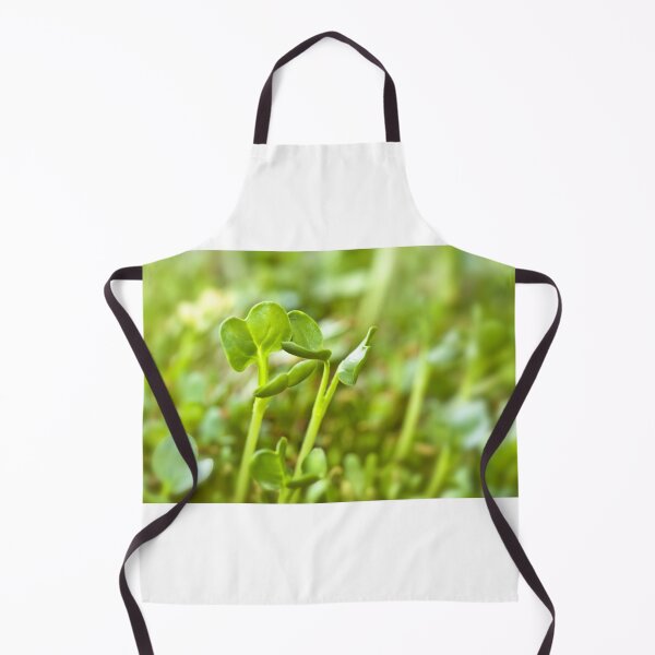 Item preview, Sprouting seeds of alfalfa designed and sold by Delphimages Art.