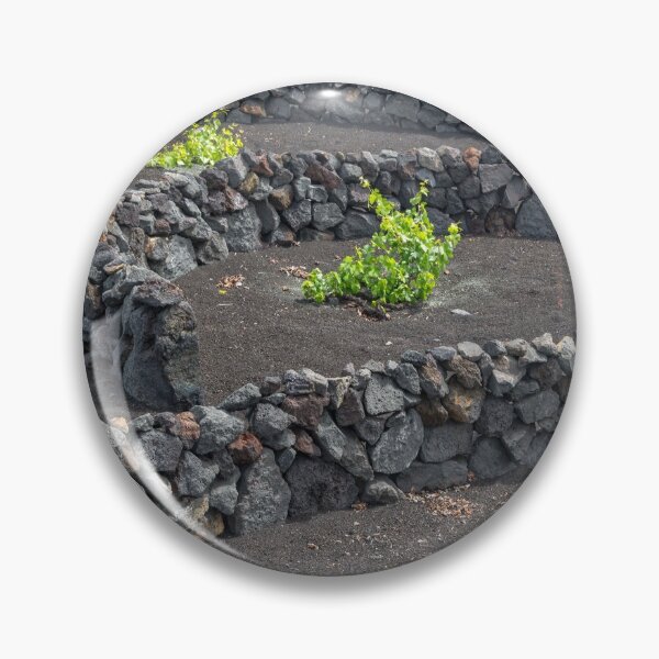 Item preview, Volcanic vineyards designed and sold by Delphimages Art.