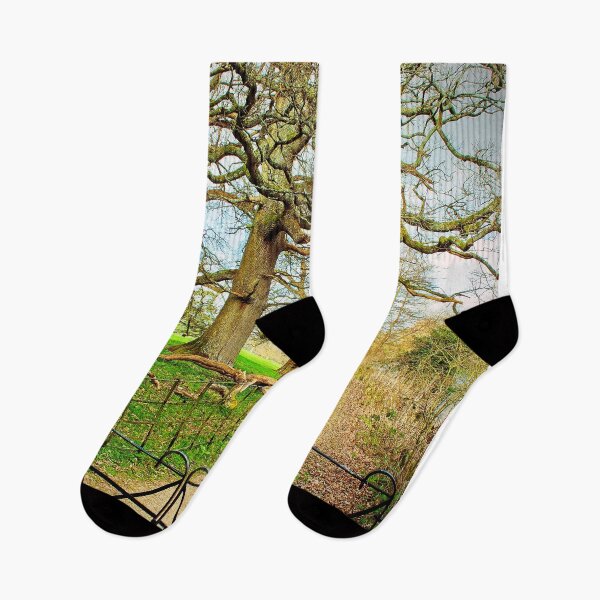 Item preview, Morgaston Woods The Vyne Sherborne St John Hampshire designed and sold by AndyEvansPhotos.