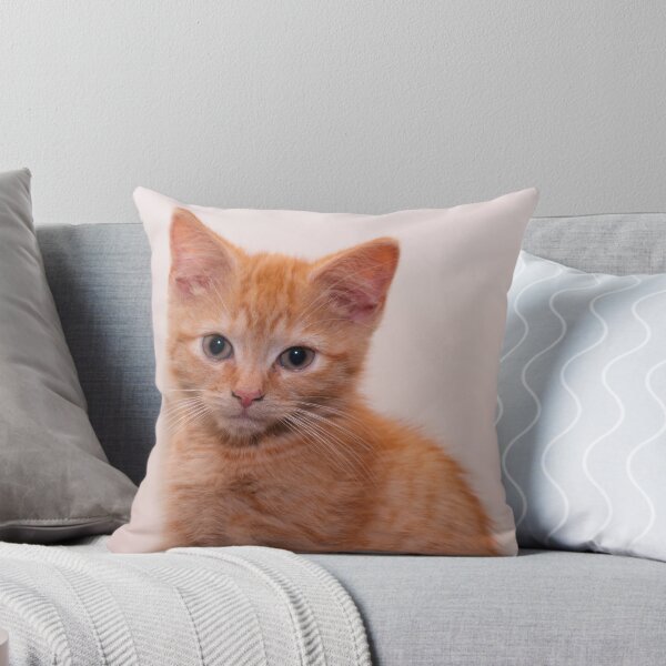 Item preview, A very cute ginger kitten designed and sold by Chris Ware.
